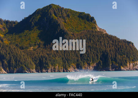 Surfen vor Bären Gletscherlagune, Kenai Fjords National Park, in der Nähe von Seward, Alaska. Stockfoto