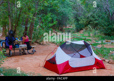 Campingplatz am Fuße des Havasu Fälle, Havasupai Indian Reservation, Grand Canyon, Arizona. Stockfoto