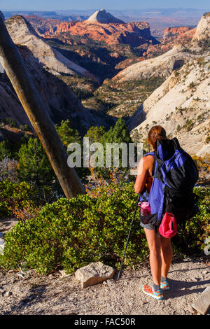 Wandern auf der West Rim Trail, Zion Nationalpark, Utah. Stockfoto