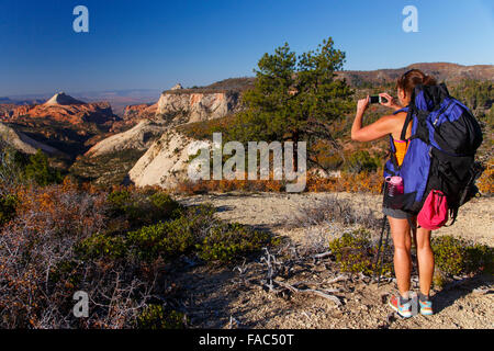 Wandern auf der West Rim Trail, Zion Nationalpark, Utah. Stockfoto