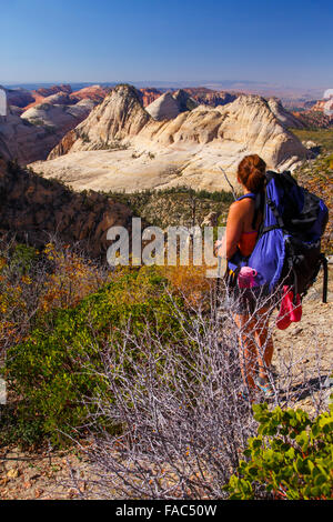 Wandern auf der West Rim Trail, Zion Nationalpark, Utah. Stockfoto