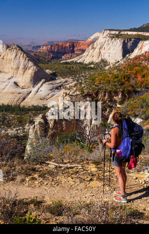 Wandern auf der West Rim Trail, Zion Nationalpark, Utah. Stockfoto