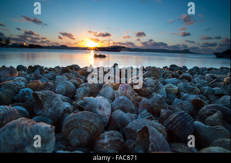 Peking, China. 11. Dezember 2015. Foto aufgenommen am 11. Dezember 2015 zeigt die Küste des Zhaoshu Insel in Sansha City, Süd-China Hainan Province. © Liu Chan/Xinhua/Alamy Live-Nachrichten Stockfoto