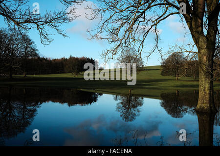 Feld in Gargrave, North Yorkshire, nach einer Überschwemmung durch den Sturm Desmond Stockfoto