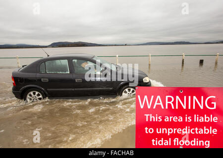 Eine Autofahrer fährt durch Hochwasser auf der Straße bei Storth an der Mündung der Kent in Cumbria, UK, während des Sturms Januar 2014 Stockfoto