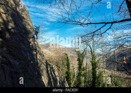 Ältere männliche Kletterer auf Klippe mit Bäumen und blauen Himmel Stockfoto