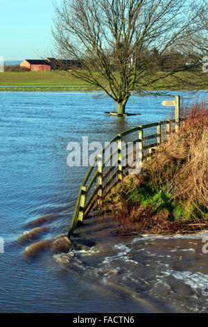 Ackerland in North Yorkshire im Nordosten von England überflutet. Stockfoto