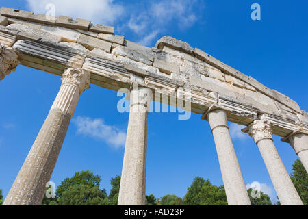 Apollonia, oder Apoloni, Fier Region, Albanien.  Antike griechische Stadt im 6. Jahrhundert v. Chr. gegründet.  Bouleuterion. Stockfoto