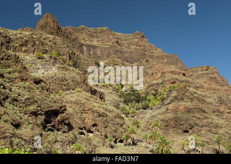 Eine Landschaft Fotografie ein natürlicher Teil des Talbodens im Valle Gran Rey in La Gomera, Kanarische Inseln, Spanien. Stockfoto