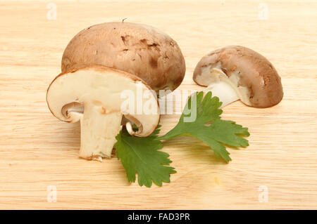 Ganze und geschnittene Champignons mit Koriander auf einem Holzbrett Stockfoto