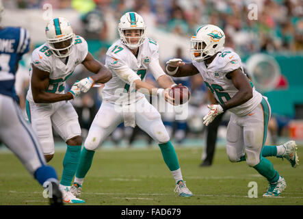 Miami Gardens, Florida, USA. 27. Dezember 2015. Miami Dolphins quarterback Ryan Tannehill (17) Hände weg zu Miami Dolphins Runningback Lamar Miller (26) bei Sun Life Stadium in Miami Gardens, Florida am 27. Dezember 2015. Bildnachweis: Allen Eyestone/The Palm Beach Post/ZUMA Draht/Alamy Live-Nachrichten Stockfoto