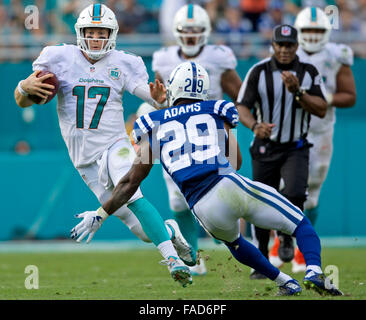 Miami Gardens, Florida, USA. 27. Dezember 2015. Miami Dolphins Quarterback Ryan Tannehill (17), läuft von Indianapolis Colts starke Sicherheit Mike Adams (29), für einen langen Gainer spät im vierten Quartal ihre NFL-Spiel Sonntag, 27. Dezember 2015 im Sun Life Stadium in Miami Gardens. Bildnachweis: Bill Ingram/The Palm Beach Post/ZUMA Draht/Alamy Live-Nachrichten Stockfoto