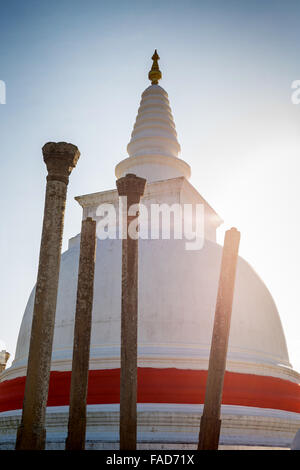 Thuparama Dagoba, heilige Stadt Anuradhapura, UNESCO World Heritage Site, Nord-Zentralprovinz in Sri Lanka Asien Stockfoto