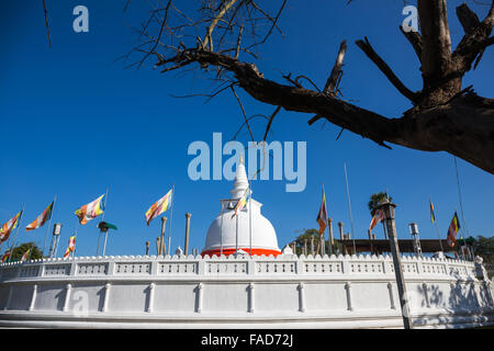 Thuparama Dagoba, heilige Stadt Anuradhapura, UNESCO World Heritage Site, Nord-Zentralprovinz in Sri Lanka Asien Stockfoto