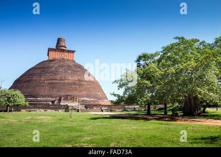 Jetavanaramaya Dagoba in den Ruinen des Jetavana, UNESCO-Weltkulturerbe, Anuradhapura, Sri Lanka, Asien Stockfoto