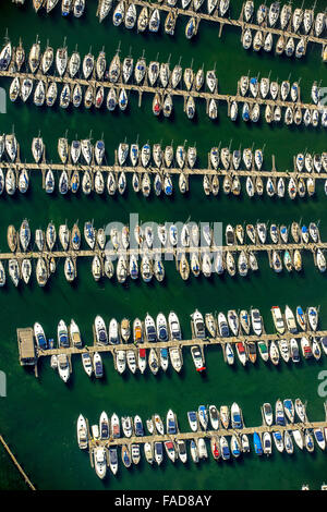 Luftaufnahme, Marina Marina Neustadt Holstein, Segelboote, Marina Wiek, Neustadt in Holstein, Lübecker Bucht, Hansestadt, Stockfoto