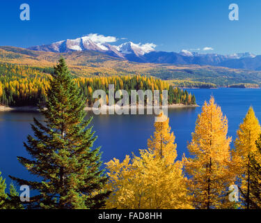 Herbstfarben und Gipfel der Flathead Range (großer nördlicher Berg und Mount Grant) über hungrigen Pferdestanks in der Nähe von hungrigen Pferden, montana Stockfoto