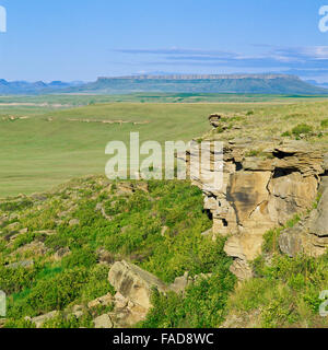 ersten Völker Büffel springen State Park (Ulm Pishkun) und quadratischen Butte in der Nähe von Ulm, montana Stockfoto