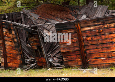 Coolidge Ghost Town, Beaverhead Deerlodge National Forest, Montana Stockfoto