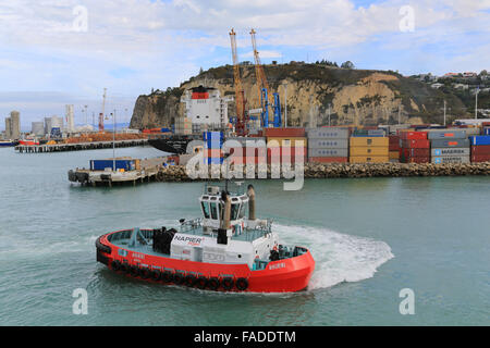 Napier Hafen Schlepper Ahuriri Manöver im Hafen, während der Frachter NYK Lyttelton eine Fracht-Container entlädt. Stockfoto