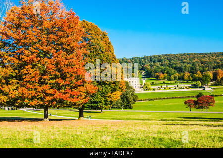 Das Gelände der Chatsworth Anwesen Derbyshire in Farbe Ray Boswell Stockfoto