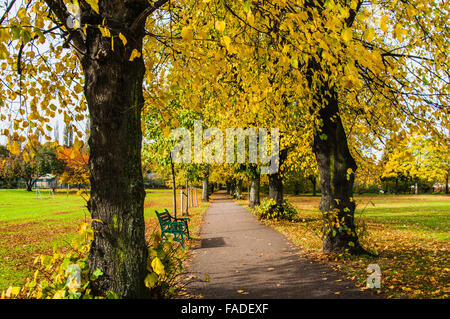 ein Spaziergang auf dem Weg in den Park durch die Bäume Ray Boswell Stockfoto