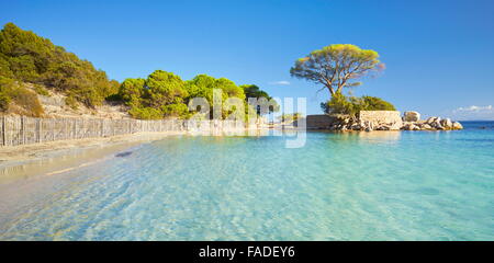 Ostküste Palombaggia Beach, Porto-Vecchio, Korsika, Frankreich Stockfoto