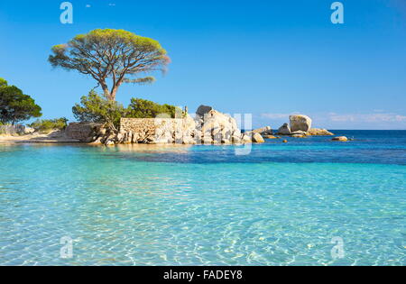 Ostküste Palombaggia Beach, Porto-Vecchio, Korsika, Frankreich Stockfoto