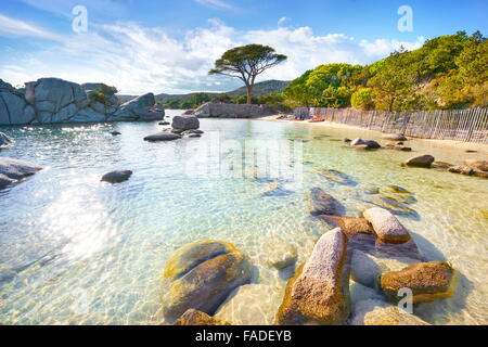 Ostküste Palombaggia Beach, Porto-Vecchio, Korsika, Frankreich Stockfoto