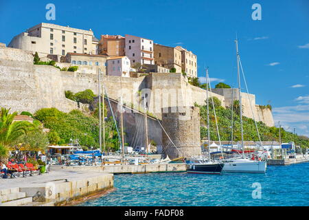 Calvi, Blick auf die Zitadelle, Balagne, Korsika, Frankreich Stockfoto