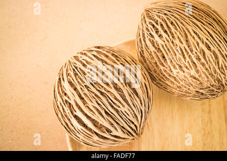 Getrocknete Samen mit schönen Linien des Baumes Selbstmord, Fotoarchiv Stockfoto