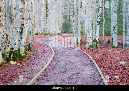 Ordesa Nationalpark, Huesca, Aragon, Spanien. Stockfoto