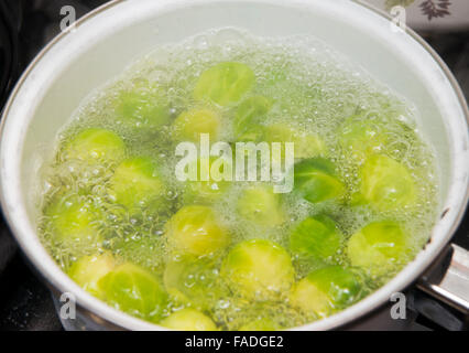 Rosenkohl in einem Topf gekocht wird. Stockfoto