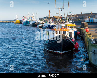 Angelboote/Fischerboote vertäut im Hafen Northumberland schlendern Stockfoto