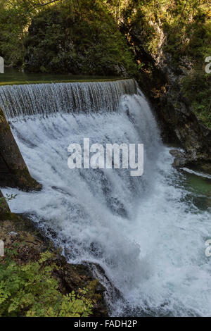 Wasserfall in der Schlucht Vintgar, eines der beliebtesten natürlichen Merkmale in Slowenien. Stockfoto