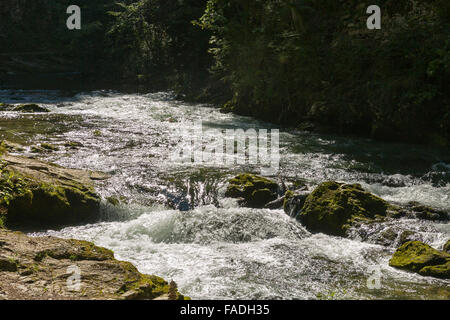 Vintgar-Schlucht mit schnellen Fluss Radovna durchströmt. Bled, Slowenien. Stockfoto