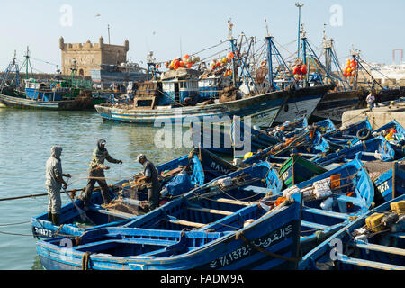 Blaue Angelboote/Fischerboote im Hafen, Essaouira, Marokko Stockfoto