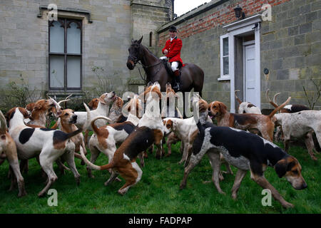 Die Hunde springen für Kekse, wie Mitglieder der alten Surrey Burstow und West Kent Hunt auf Chiddingstone Castle für die Annu zu sammeln Stockfoto