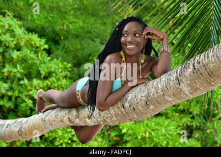 Mädchen liegt auf einer Palme Stockfoto