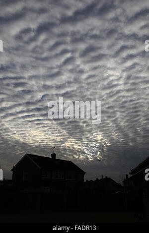 Makrele Himmel gesprenkelt mit Reihen von kleinen weißen flauschigen Wolken in der Regel Cirrocumulus, wie das Muster auf eine Makrele Fisch zurück. Stockfoto