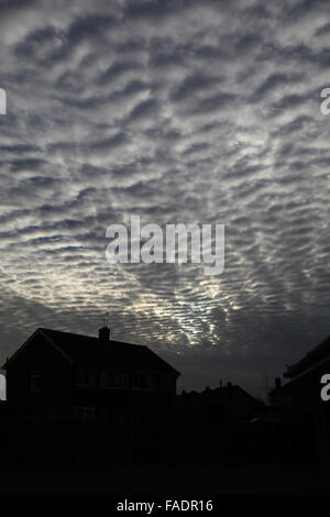 Makrele Himmel gesprenkelt mit Reihen von kleinen weißen flauschigen Wolken in der Regel Cirrocumulus, wie das Muster auf eine Makrele Fisch zurück. Stockfoto