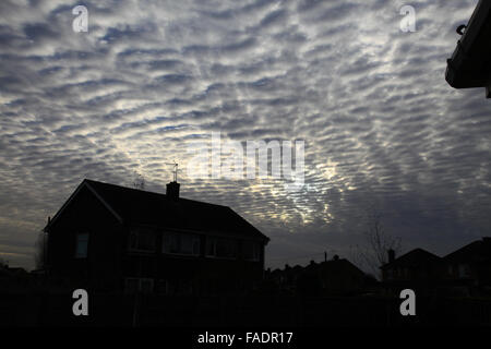 Makrele Himmel gesprenkelt mit Reihen von kleinen weißen flauschigen Wolken in der Regel Cirrocumulus, wie das Muster auf eine Makrele Fisch zurück. Stockfoto