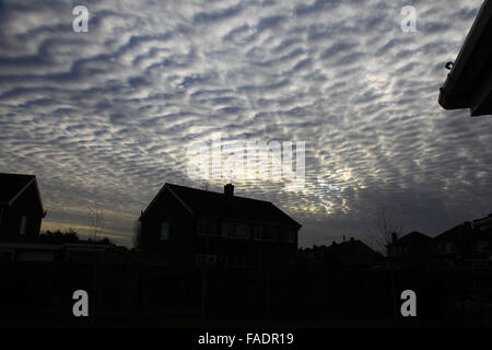 Makrele Himmel gesprenkelt mit Reihen von kleinen weißen flauschigen Wolken in der Regel Cirrocumulus, wie das Muster auf eine Makrele Fisch zurück. Stockfoto