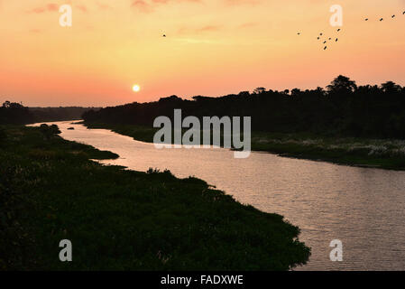 Sonnenaufgang in Nebengewässern in Palakkad, Kerala, Indien Stockfoto