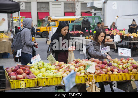 Knackige Äpfel zum Verkauf auf dem Bauernmarkt am Union Square in Manhattan, New York City. Stockfoto