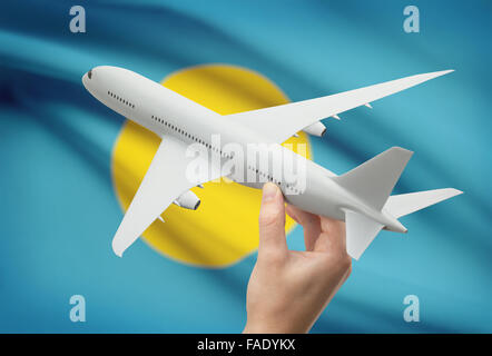 Flugzeug in der Hand mit Nationalflagge auf Hintergrund - Palau Stockfoto