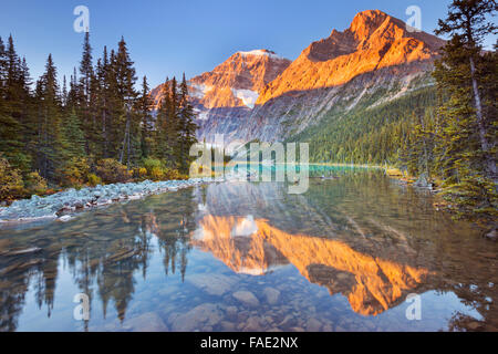 Mount Edith Cavell spiegelt sich in Cavell Lake im Jasper Nationalpark, Kanada. Bei Sonnenaufgang fotografiert. Stockfoto