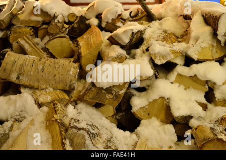 Schnee bedeckte Birke Brennholz Baumstämmen Stockfoto