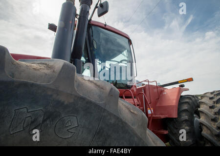Roter Traktor auf Bauernhof in Eden, Maryland. Stockfoto