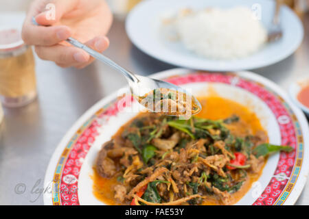 Rühren Sie gebratenes Wildschwein mit rotem Curry Stockfoto